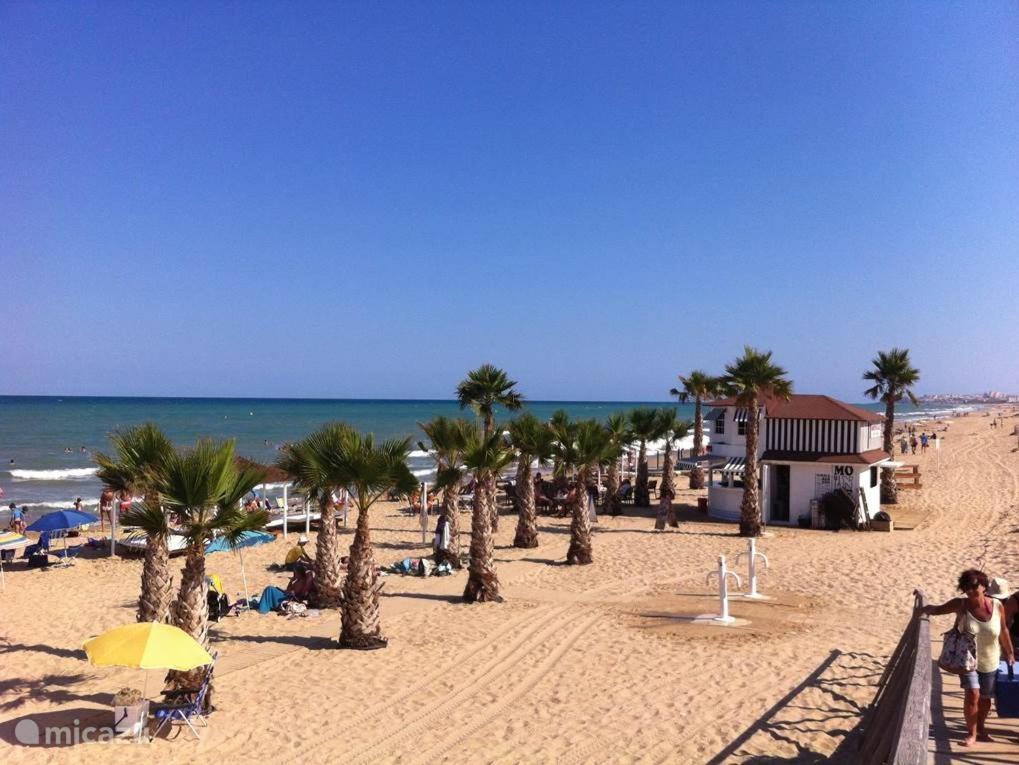 Bonito Apartamento Con Piscina Formentera del Segura Ngoại thất bức ảnh